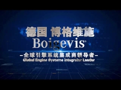 Прецизное изготовление клапанов двигателей для автомобилей 03C109210BP для Сагитара