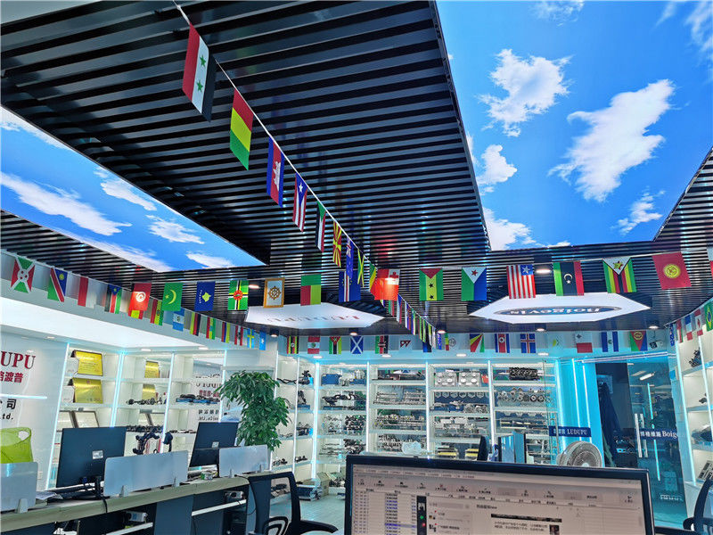Китай Boigevis Trading (guangzhou) Co., Ltd. Направление компании 